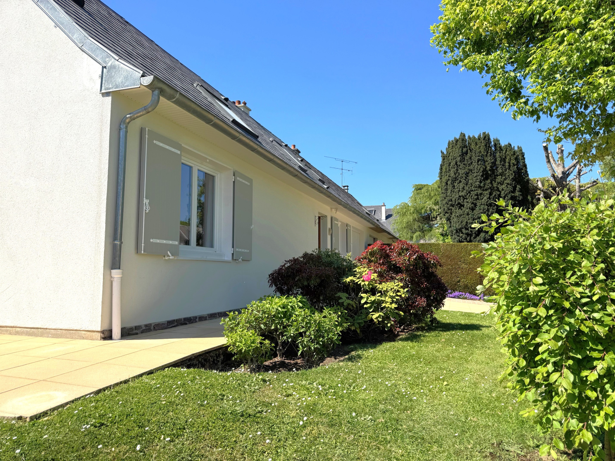 Agence immobilière de Agence Plailly Immobilier