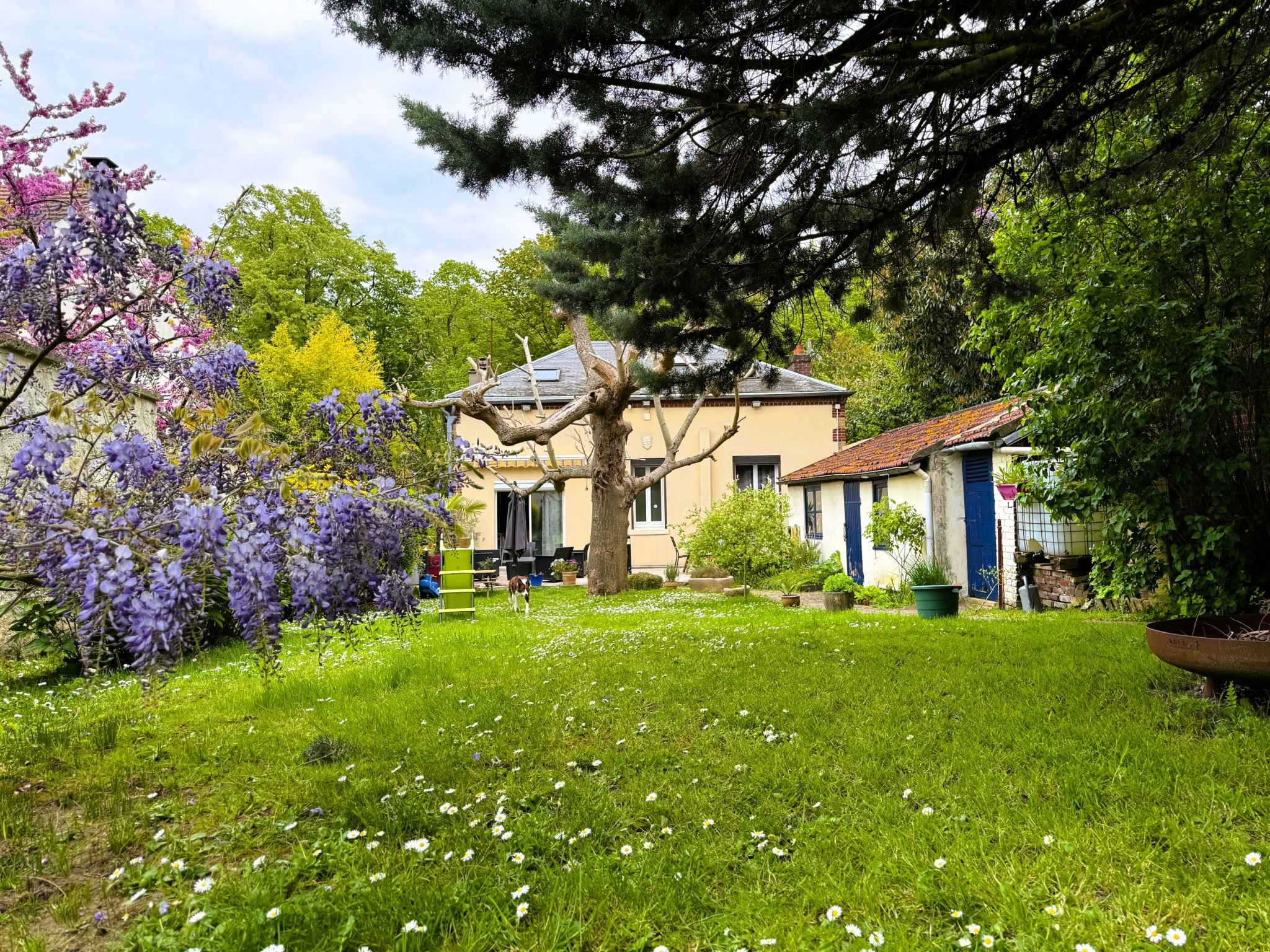 Agence immobilière de Agence Plailly Immobilier